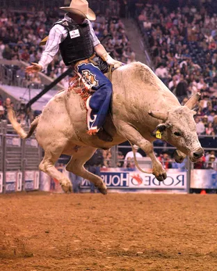 8 Seconds Rodeo