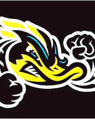 Akron Rubberducks Bridgewater