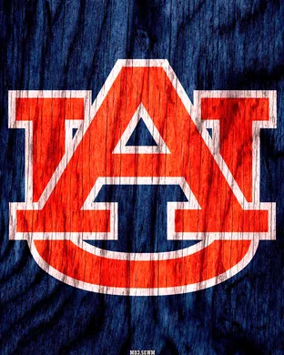 Auburn Tigers Auburn