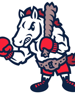 Binghamton Rumble Ponies Bridgewater