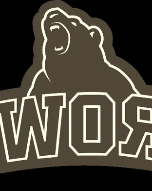 Brown Bears Football Princeton