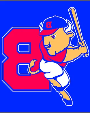 Buffalo Bisons Allentown