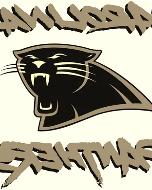 Carolina Panthers Philadelphia