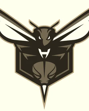 Charlotte Hornets Winston Salem