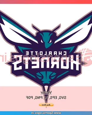 Charlotte Hornets Charlotte
