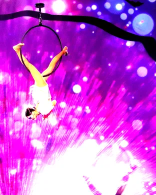 Cirque Musica Holiday Wonderland