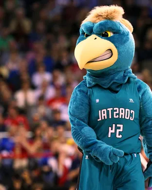 Coastal Carolina Chanticleers Newark