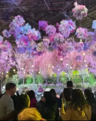 Flower Show Philadelphia