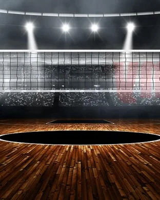 South Florida Bulls Women's Volleyball Tampa